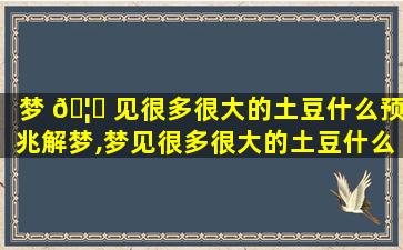 梦 🦋 见很多很大的土豆什么预兆解梦,梦见很多很大的土豆什么预兆解梦女性